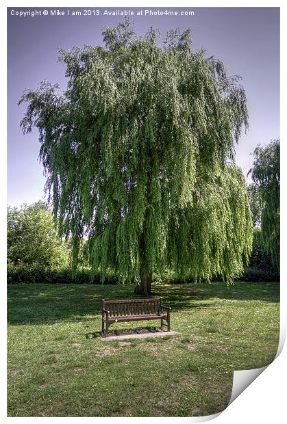 Bench under a willow tree Print by Thanet Photos