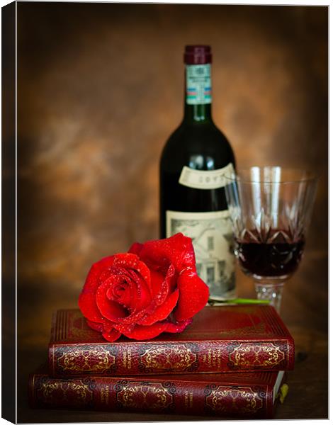 Red Rose Canvas Print by Mark Llewellyn