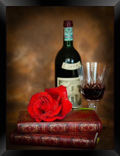 Red Rose Framed Print by Mark Llewellyn