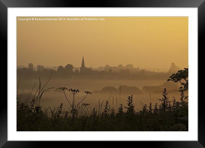 Misty Dawn Framed Mounted Print by Barbara Ambrose