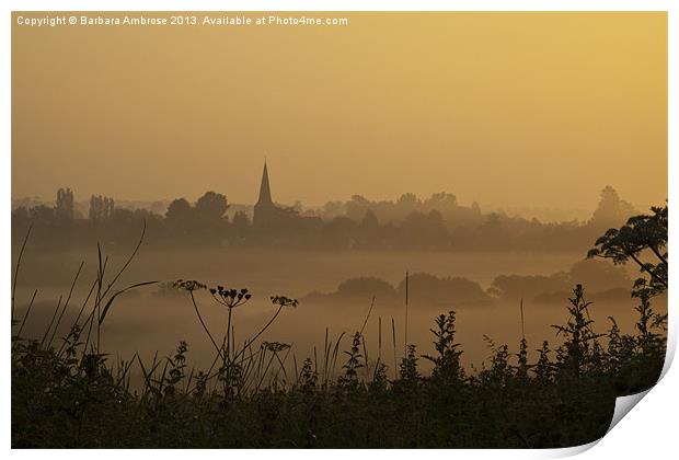 Misty Dawn Print by Barbara Ambrose