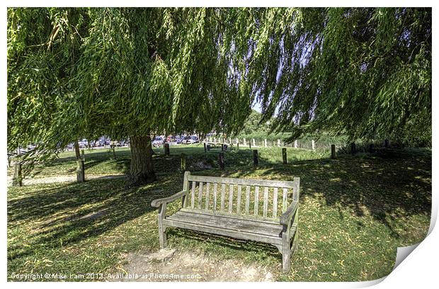 Bench under a willow tree Print by Thanet Photos