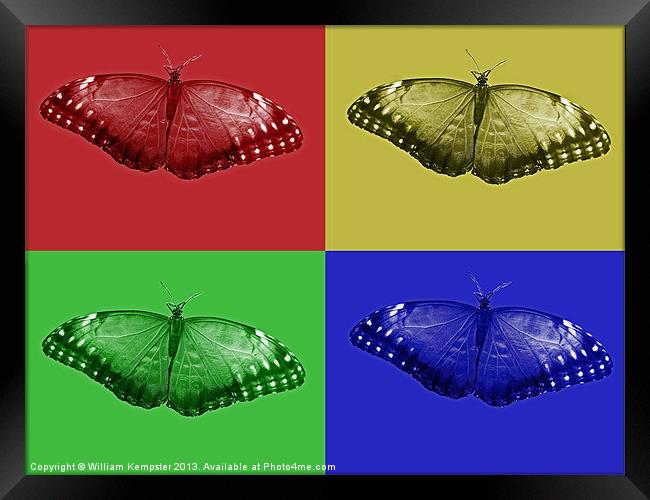 Digital Art Butterfly Framed Print by William Kempster