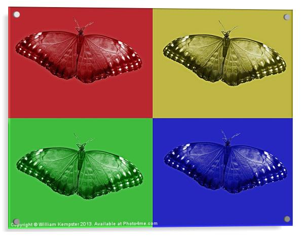 Digital Art Butterfly Acrylic by William Kempster