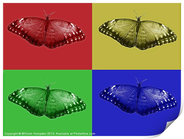 Digital Art Butterfly Print by William Kempster