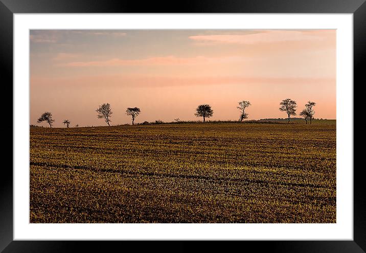 Winter Sunrise Trees Framed Mounted Print by Trevor Camp