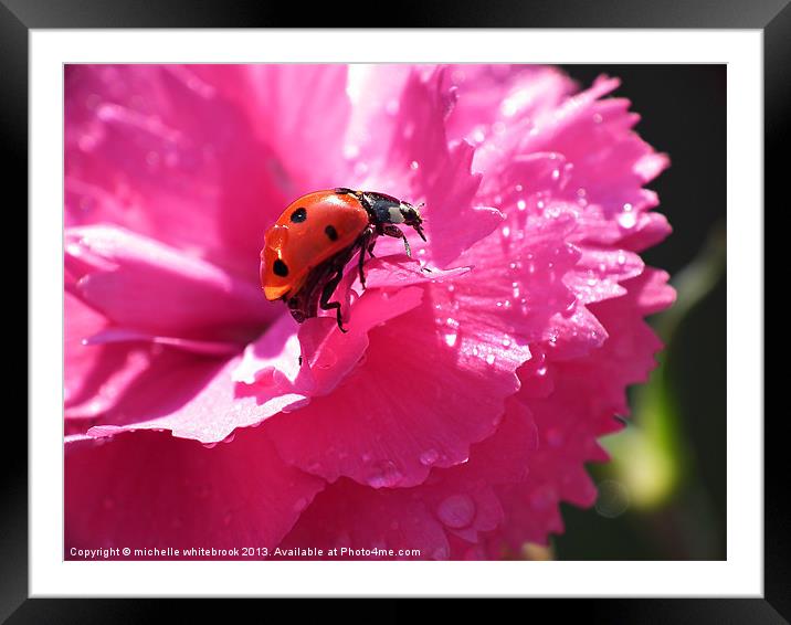 Lady bird and Dew Framed Mounted Print by michelle whitebrook