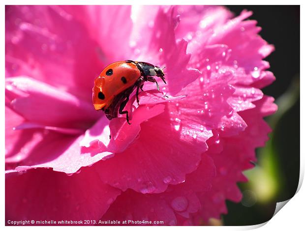 Lady bird and Dew Print by michelle whitebrook