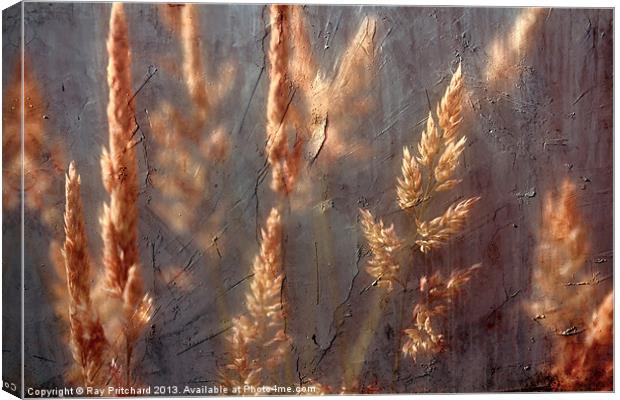 Grass Canvas Print by Ray Pritchard