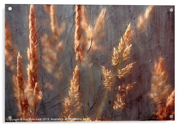Grass Acrylic by Ray Pritchard