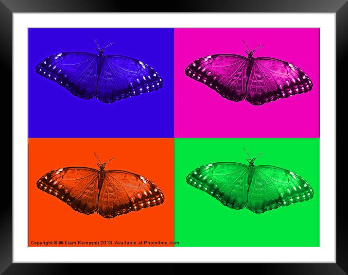 Digital Art Butterfly Framed Mounted Print by William Kempster