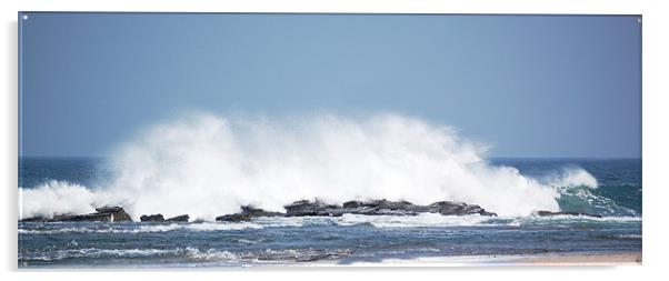 Giant Wave Crashing Acrylic by james balzano, jr.