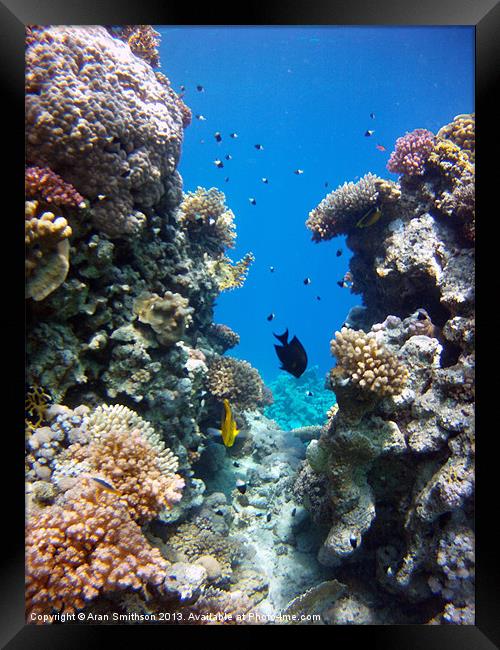 Between the reefs Framed Print by Aran Smithson