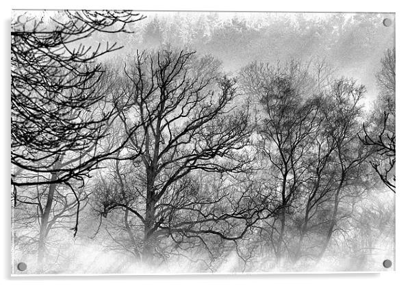 Winter Wood Acrylic by Mike Jennings