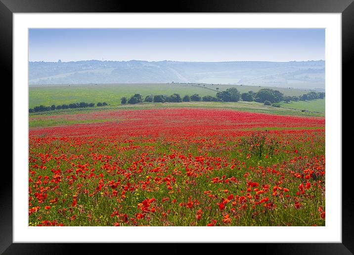 Poppies in Sussex Framed Mounted Print by Eddie Howland