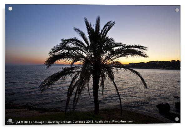 Palm Tree Sunset Acrylic by Graham Custance