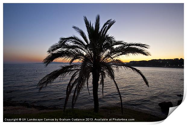 Palm Tree Sunset Print by Graham Custance