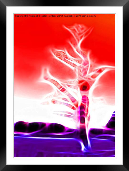 The Joshua Tree Framed Mounted Print by Abstract  Fractal Fantasy