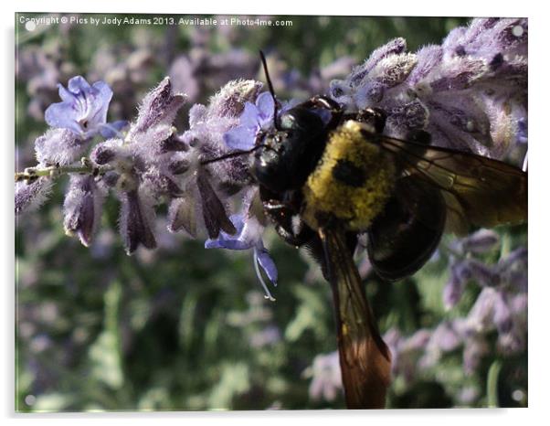 Busy Bee Acrylic by Pics by Jody Adams