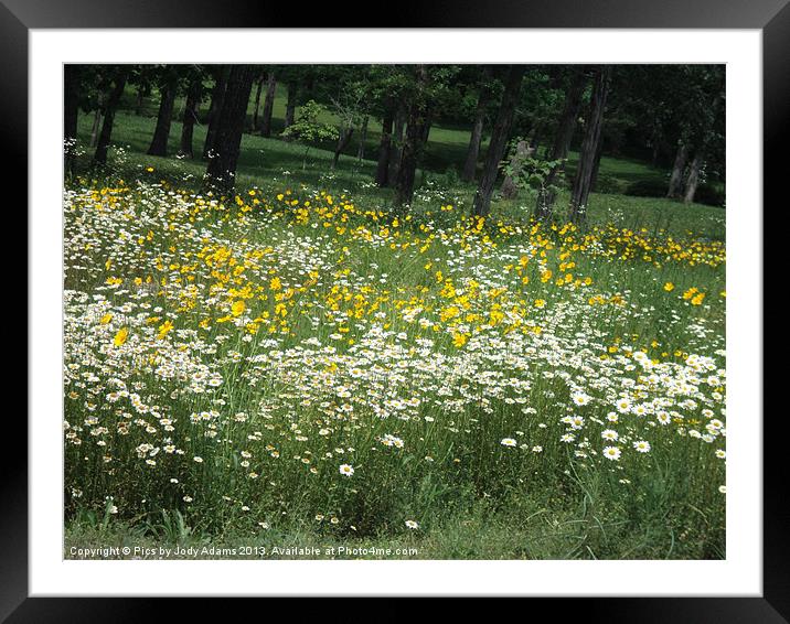 See the Yellow Framed Mounted Print by Pics by Jody Adams
