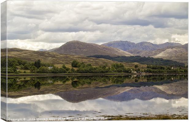 A Highland View Canvas Print by Lynne Morris (Lswpp)