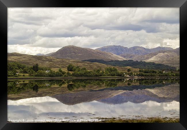 A Highland View Framed Print by Lynne Morris (Lswpp)