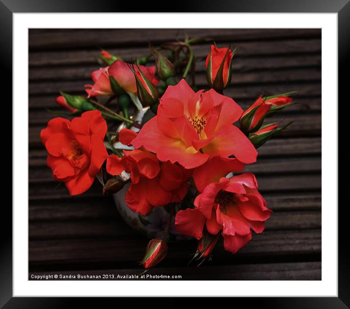 Just Roses Framed Mounted Print by Sandra Buchanan