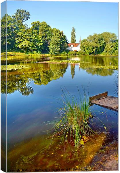 The Old School House Canvas Print by Mark  F Banks