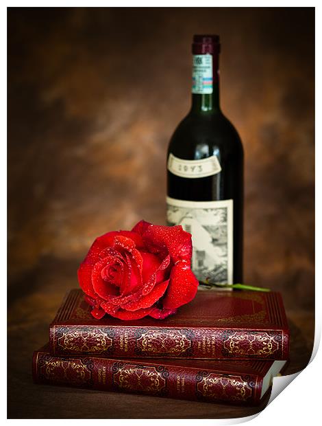 Red Rose Print by Mark Llewellyn