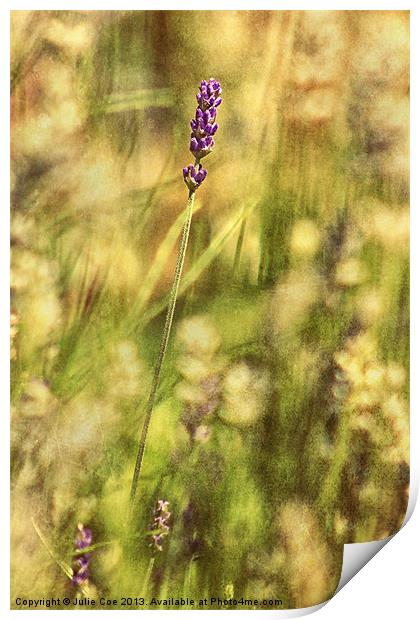 Lavender Print by Julie Coe