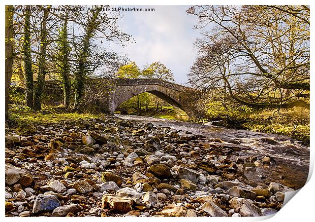 River Clover Yorkshire Dales Print by Trevor Kersley RIP