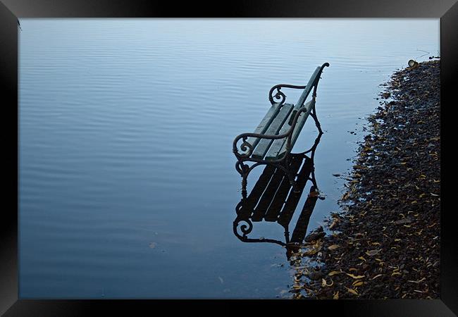 bench on water Framed Print by Ciobanu Razvan