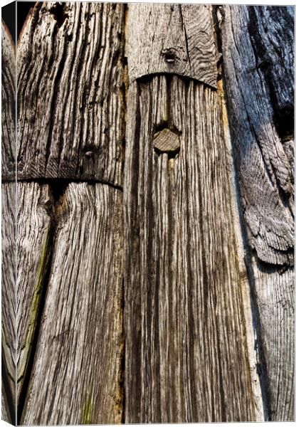 Ancient Timber Canvas Print by David Pyatt