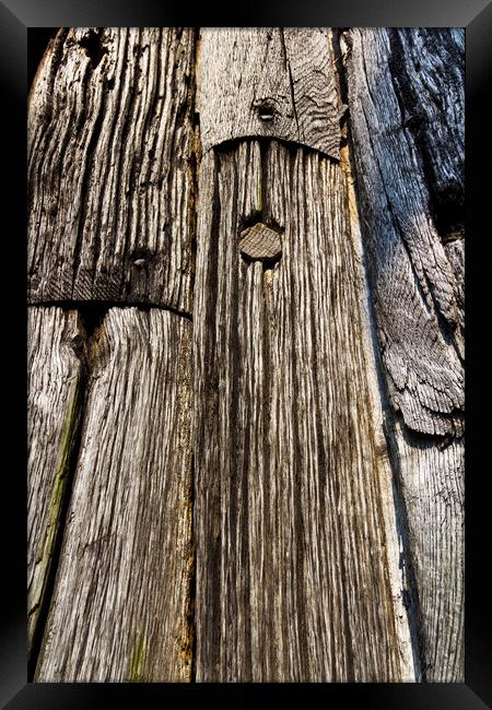 Ancient Timber Framed Print by David Pyatt