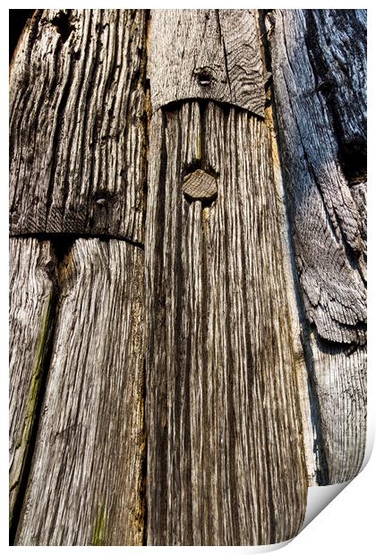 Ancient Timber Print by David Pyatt