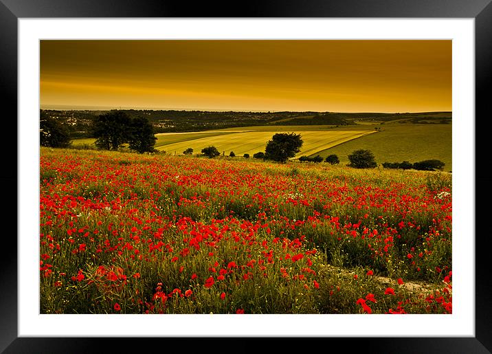 Sunset over poppies in Sussex Framed Mounted Print by Eddie Howland