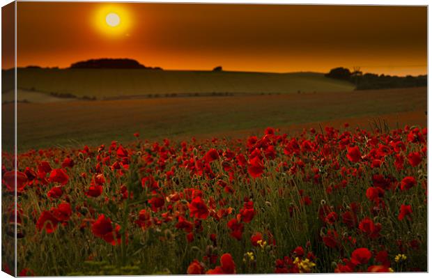 Sunset over poppies in Sussex Canvas Print by Eddie Howland
