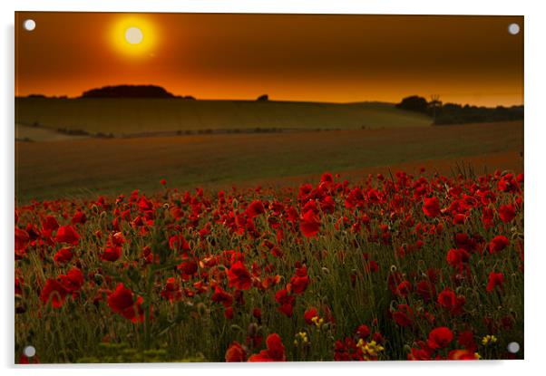 Sunset over poppies in Sussex Acrylic by Eddie Howland