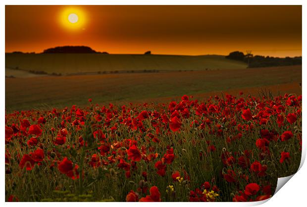 Sunset over poppies in Sussex Print by Eddie Howland