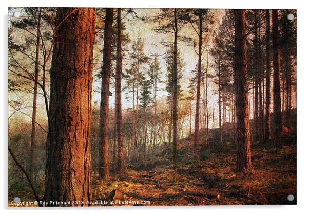 Textured Woods Acrylic by Ray Pritchard