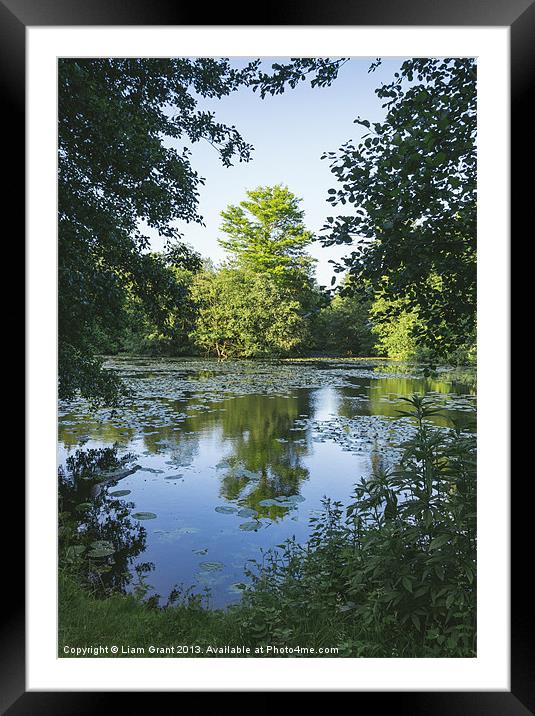 Water-lilies on the lake in evening light. Framed Mounted Print by Liam Grant