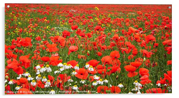 Poppy Heaven Acrylic by michelle whitebrook
