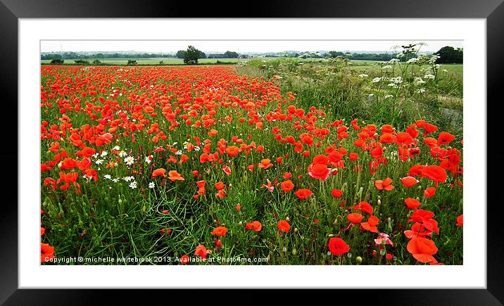 Summer Poppy Framed Mounted Print by michelle whitebrook