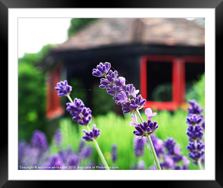 Lavender Framed Mounted Print by michelle whitebrook