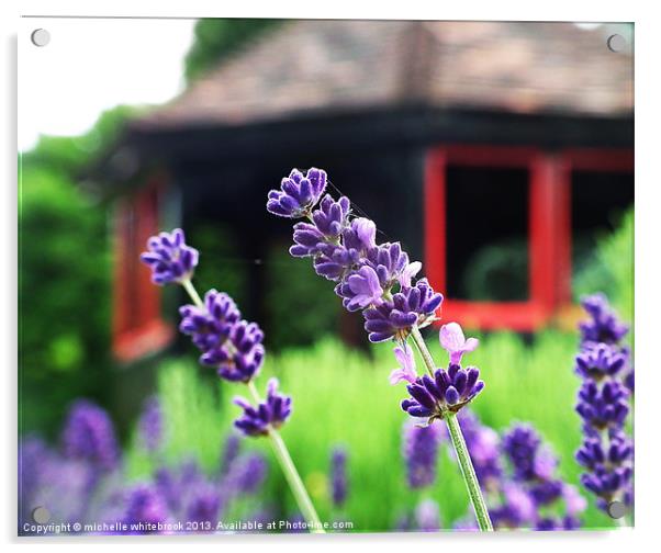 Lavender Acrylic by michelle whitebrook