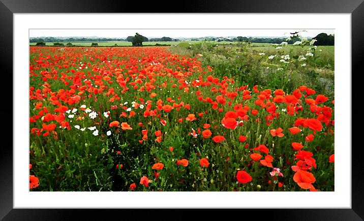 Poppy Field 2 Framed Mounted Print by michelle whitebrook