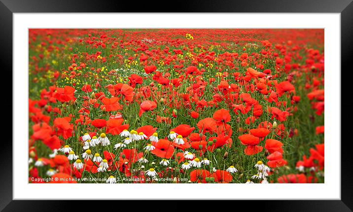poppy 7 Framed Mounted Print by michelle whitebrook