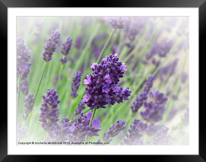 Lavender soft Framed Mounted Print by michelle whitebrook