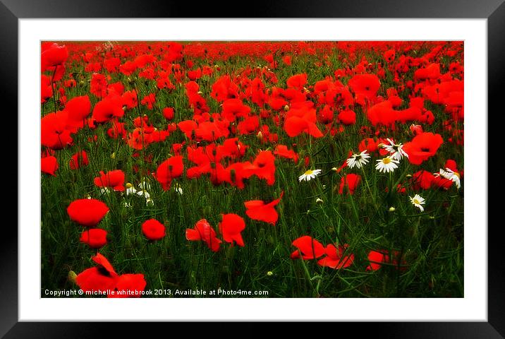 Poppy  orton-ish Framed Mounted Print by michelle whitebrook