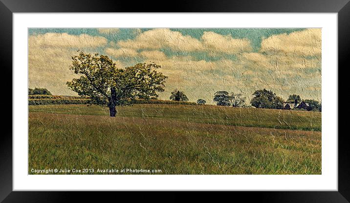 Field Of Texture 2 Framed Mounted Print by Julie Coe